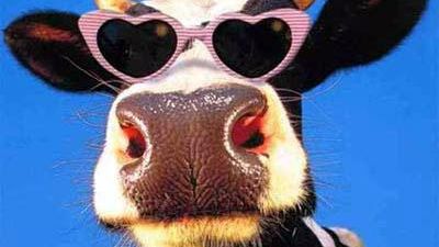 Cele mai tari anunţuri de mica publicitate de pe site-urile din România