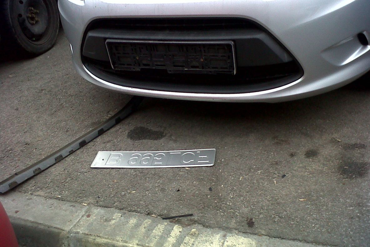 MARTOR OCULAR. Scene de GROAZĂ. O haită de câini a atacat o pisică. Un şofer s-a ales cu pagube