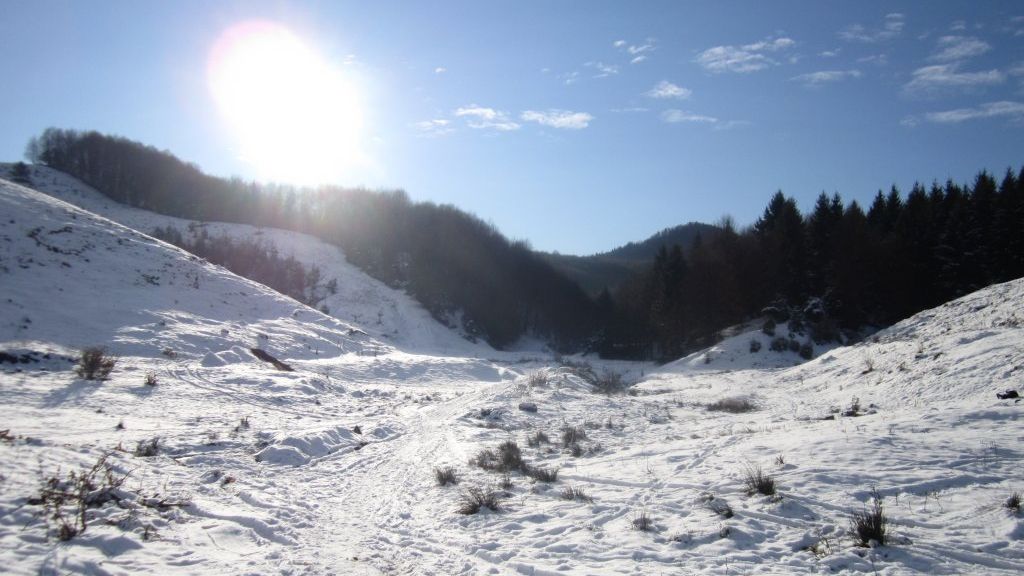 VREMEA se încălzeşte! METEO pe trei zile