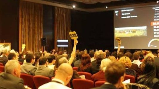 SUMA RECORD la care a fost vândut tabloul unui pictor român 