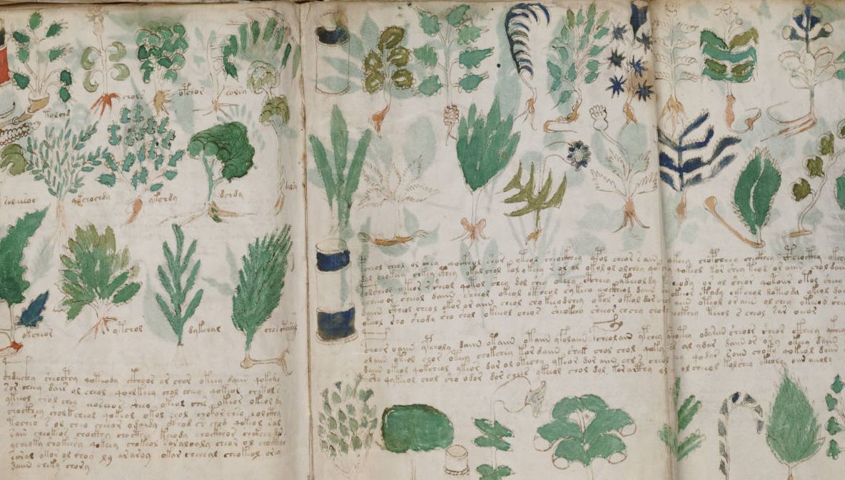 Nimeni nu a DESCIFRAT acest manuscris de 600 de ani. CE SECRET ascund plantele