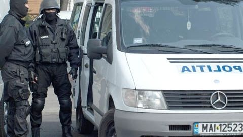 Poliţiştii au descoperit o cultură de cannabis "indoor" la Târgovişte