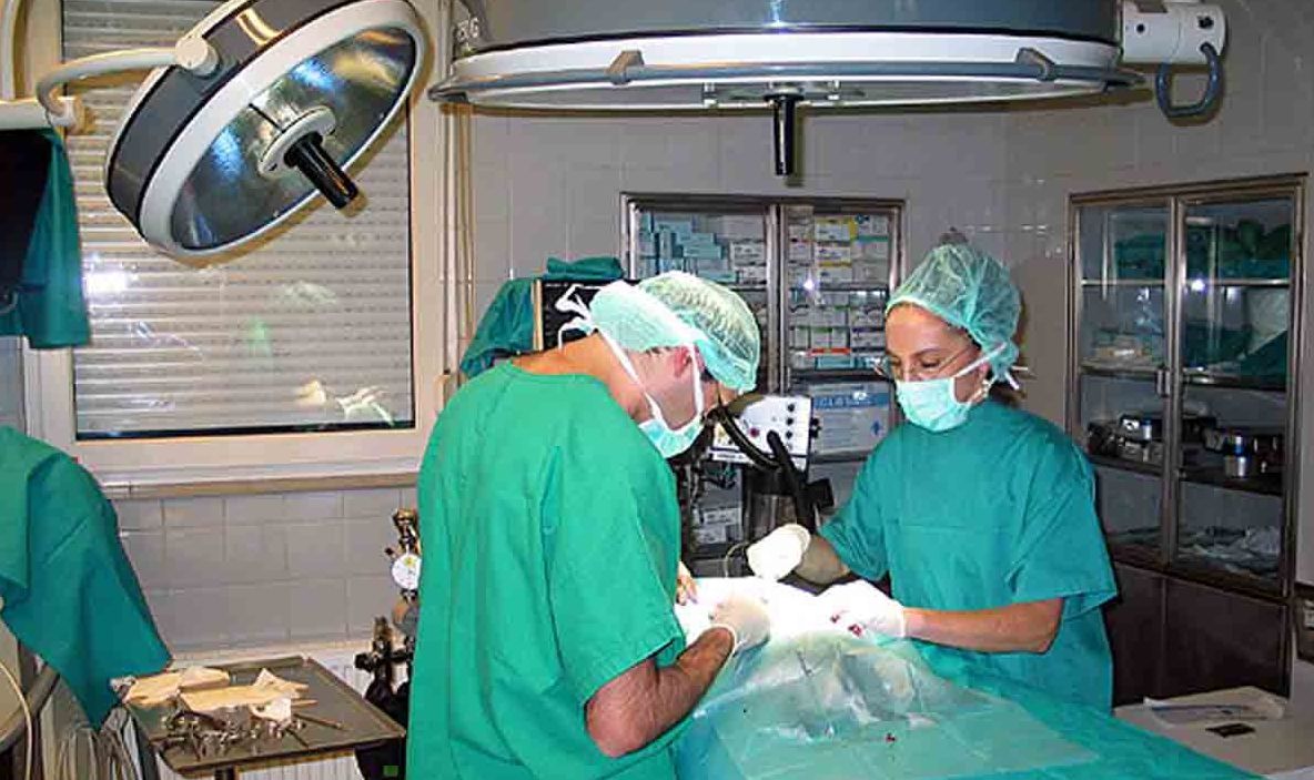 România produce medici germani la preţ redus