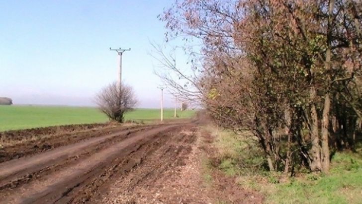 COMISIA CĂLĂRAŞI a cerut Oficiului de Cadastru cărţi funciare şi titluri de proprietate din Nana