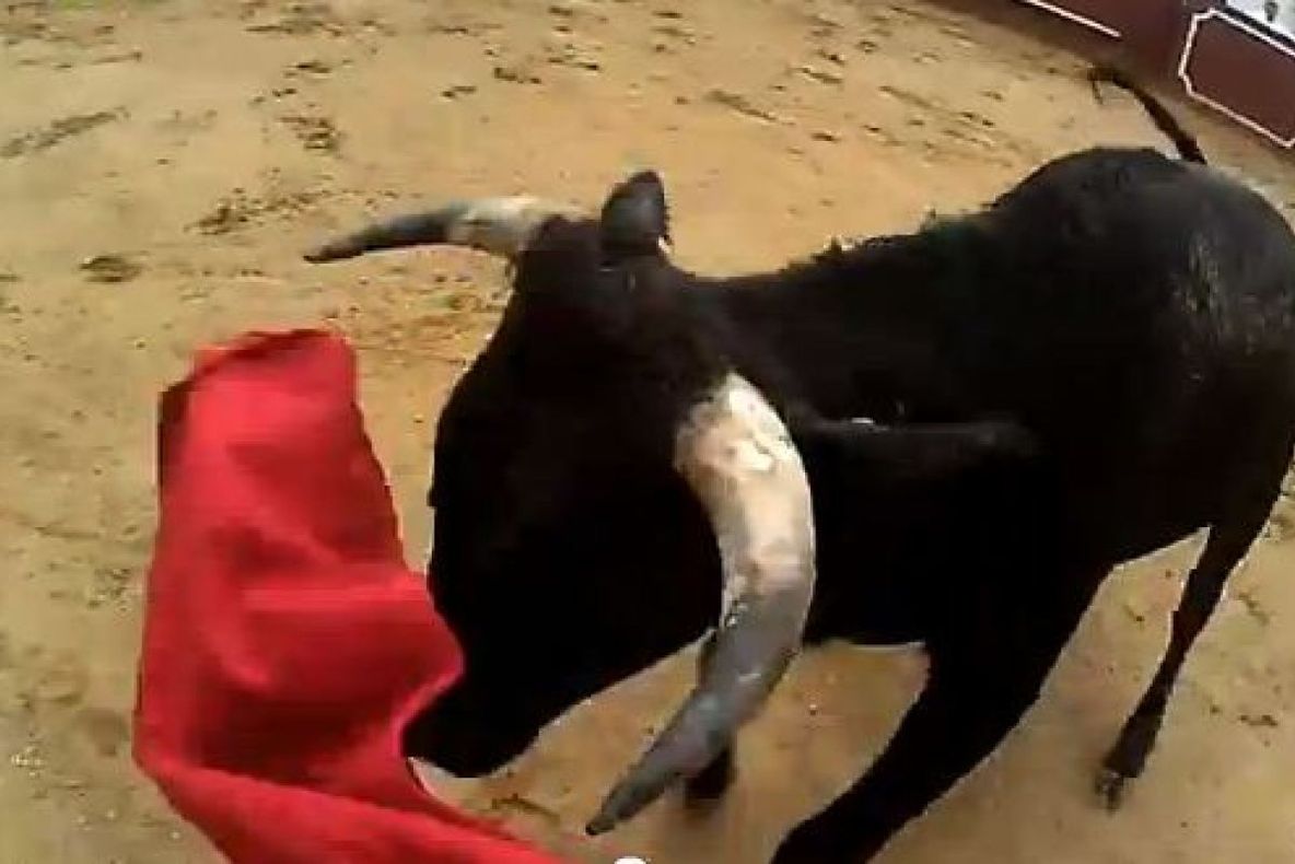 MOMENT DRAMATIC: O tânără, aruncată câţiva metri în aer de un taur