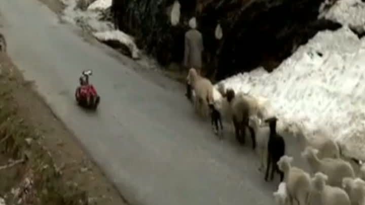 Antrenament EXTREM pentru Olimpiada de la Soci, în India