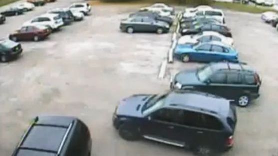 Vei râde cu lacrimi. Nu te-ai fi gândit că e în stare să parcheze în halul acesta! 