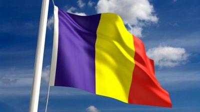 Prefectura Covasna solicită partidelor maghiare să arboreze drapelul României pe sedii