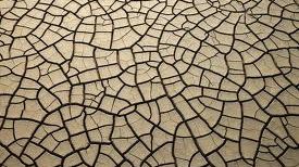 Situaţie de URGENŢĂ în California: Ar putea fi cea mai gravă SECETĂ din ultimul secol