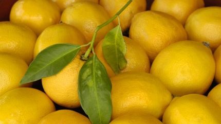 DIETE SĂNĂTOASE: Dieta alcalină – calea către longevitate, vitalitate, sănătate