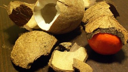 7 alimente care te ajuta sa traiesti mai mult