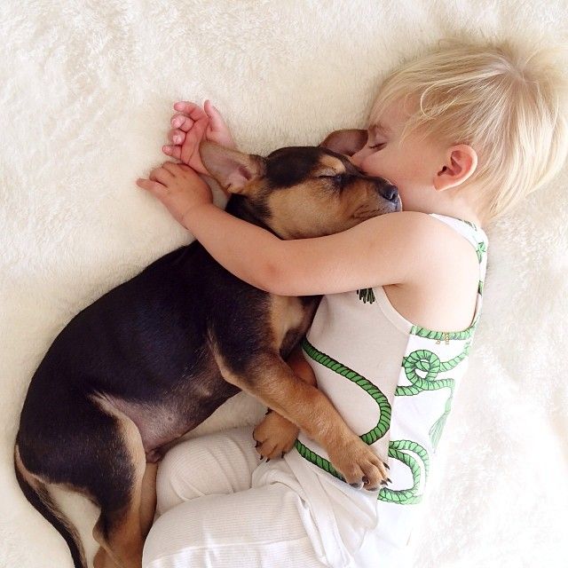 Nu ai cum să rămâi indiferent. Cele mai EMOŢIONANTE imagini cu un copil care doarme cu câinele