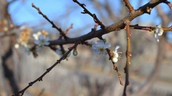 "S-ar putea să fie foamete!". Fermierii disperaţi spun că de 30 de ani n-au mai văzut aşa ceva