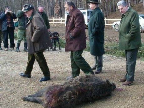 Începe vânătoarea de la Balc. Câţi mistreţi a ucis Adrian Năstase, primul invitat al lui Ţiriac