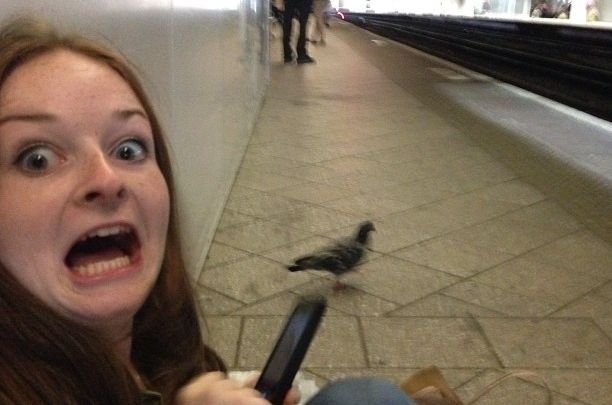 Mirosul fricii este transmis genetic timp de două generaţii