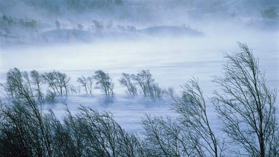 COD GALBEN de vânt în mai multe judeţe