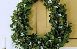 Care e povestea VÂSCULUI, planta MAGICĂ cu puteri miraculoase