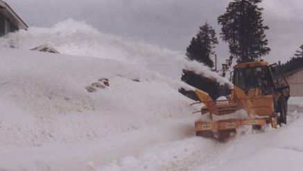 Un tren a rămas blocat în zăpadă, în Călăraşi, de la 8 dimineaţă