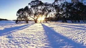 Cum se face deszăpezirea în Japonia VIDEO