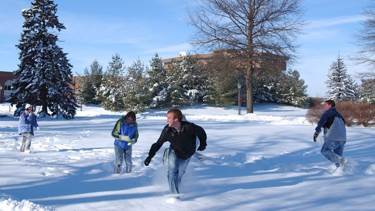 Zăpada este otrăvitoare. Conţine substanţe periculoase