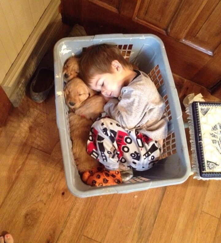 Copiii şi animăluţele. Cele mai frumoase fotografii