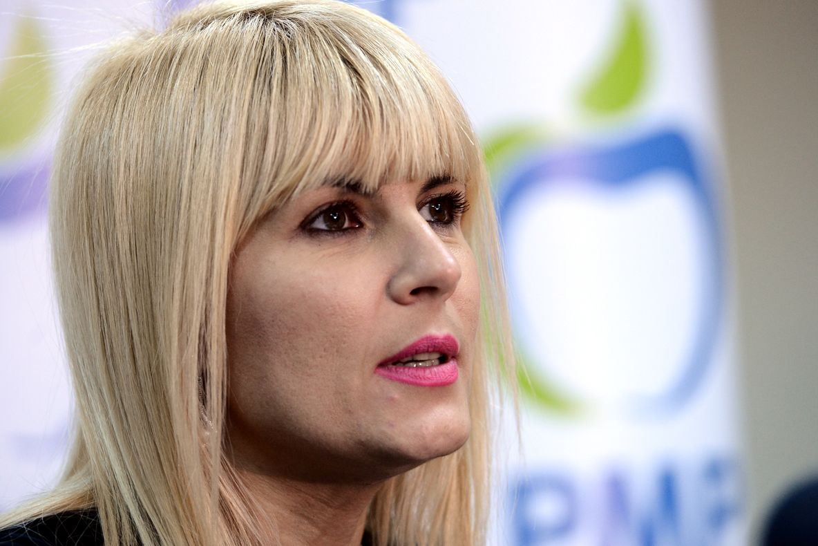 Udrea: O să ne ajute sigla partidului pentru că de data asta o să dăm mere verzi