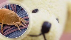 6 lucruri din casă din cauza cărora poţi face alergii