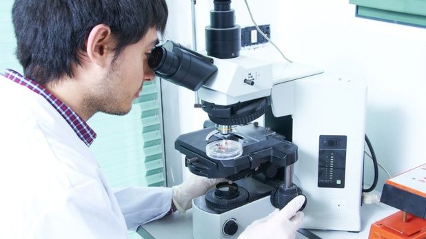 Cum arată animalul care trăiește 1.400 de ani. Un exemplar a trăit în vremea Profetului Mahomed