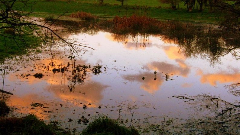 SURPRIZĂ pe o BALTĂ formată după TOPIREA ZĂPEZII. Zeci de şoferi s-au oprit SĂ LE ADMIRE