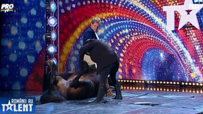 Situaţie FĂRĂ PRECEDENT la ROMÂNII AU TALENT: "Dar cu calul ce-aţi avut?!"
