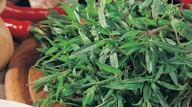 Nouă alimente bogate în FIER