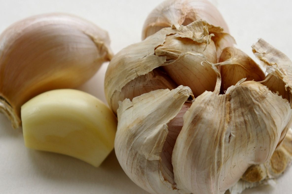 USTUROIUL, alimentul-minune. Beneficii, proprietăţi, curiozităţi