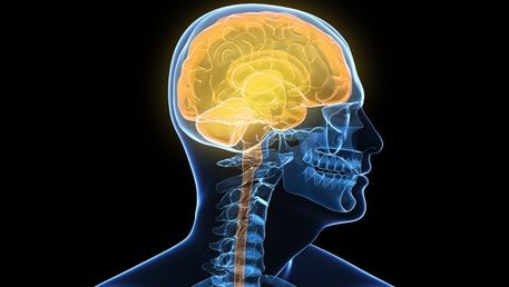 DESCOPERIRE INCREDIBILĂ: Genă care face legătura între materia cenușie și inteligenţă