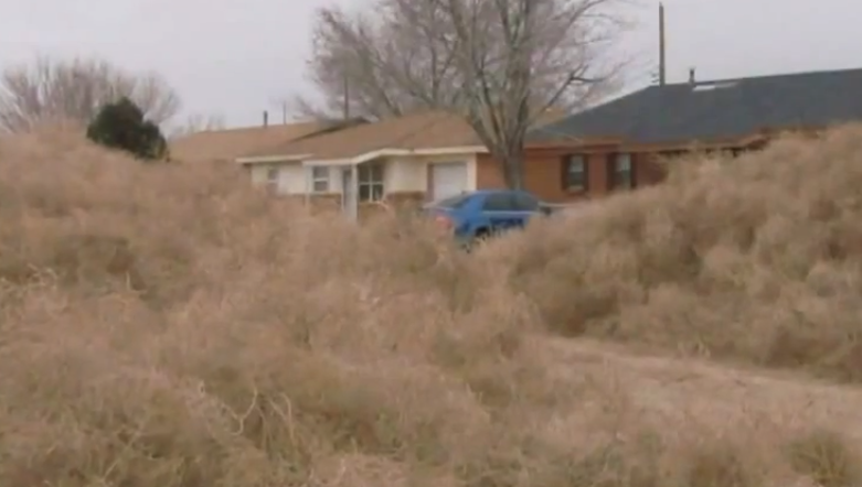 Locuitorii din Roswell, orășelul în care s-ar fi prăbușit un OZN, uluiți de o invație ciudată