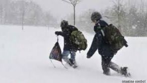 Elevii care merg 10 kilometri pe câmp şi prin pădure ca să facă şcoală: "NU VREM SĂ FIM ANALFABEŢI"