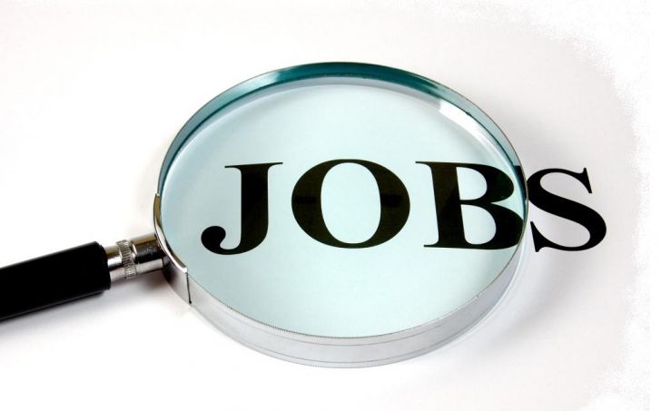 Angajatorii au 10.000 de joburi vacante. Care sunt cele mai căutate profesii