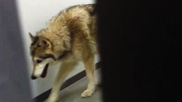 SOCI: Scenă șocantă filmată de o sportivă în hotelul său