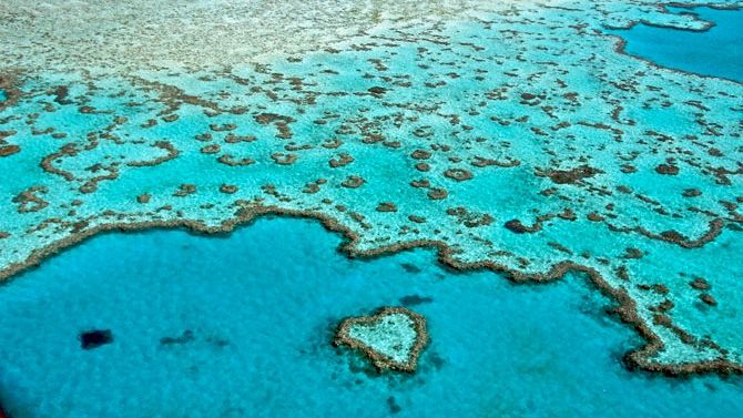 Marea Barieră de Corali: UNESCO a cerut Australiei să ofere garanţii de protecţie