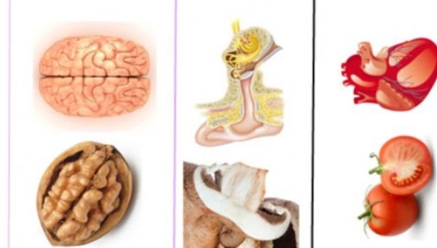 MEDICINA LUI DUMNEZEU. Informaţiile care circulă de secole, transmise de medicii antici 