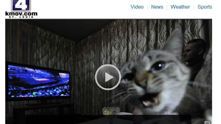 Cum s-a răzbunat un american pe firma care l-a RESPINS la angajare