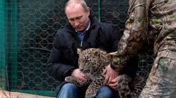 VLADIMIR PUTIN a calmat din priviri un pui de leopard care s-a năpustit asupra unor ziariști 