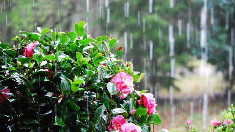 PROGNOZA METEO pentru trei zile: VREME rece, vânt cu intensificări şi ploi slabe