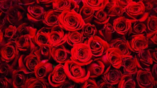 Trei zodii din horoscop care primesc o surpriză uriașă de Ziua Îndrăgostiților. Pentru un nativ urmează o excursie de vis și o cerere în căsătorie