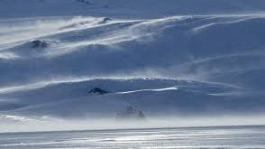 De ce au dispărut GIGANŢII din Epoca glaciară: "Principalul motor nu este reprezentat de oameni!"