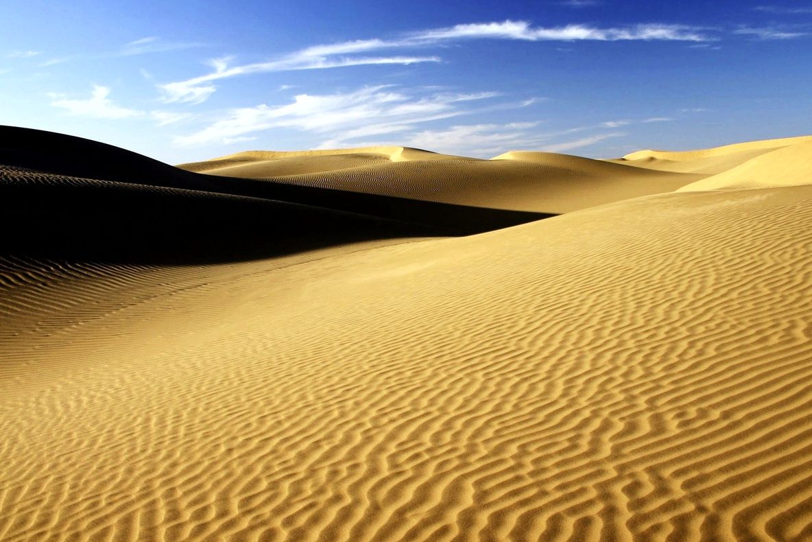 Poveste încredibilă a unui bolnav de Alzheimer: A supraviețuit trei zile în deşert