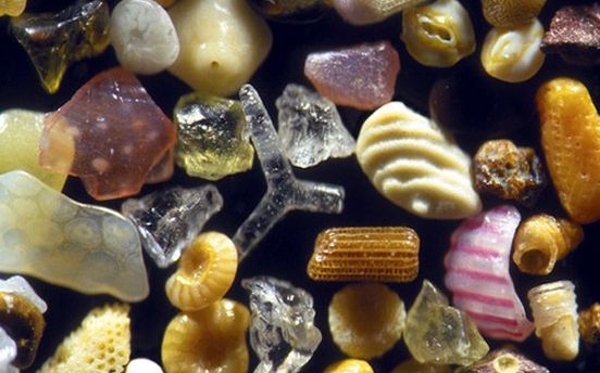 Imaginile frumoase ale zilei: un fir de nisip, văzut la microscop