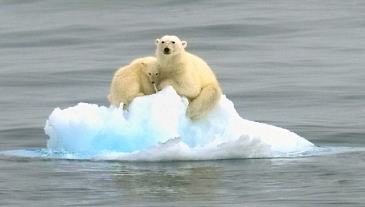 Efect IREVERSIBIL al încălzirii globale: Nivelul mării va crește cu 60 de centimetri până la sfârșitul secolului