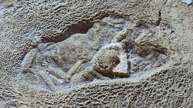 Care este cel mai vechi semn al vieţii omeneşti de pe teritoriul României