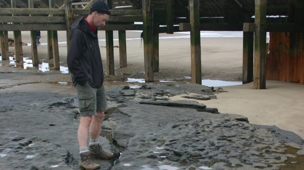 Cele mai vechi urme de paşi umani descoperite în afara Africii