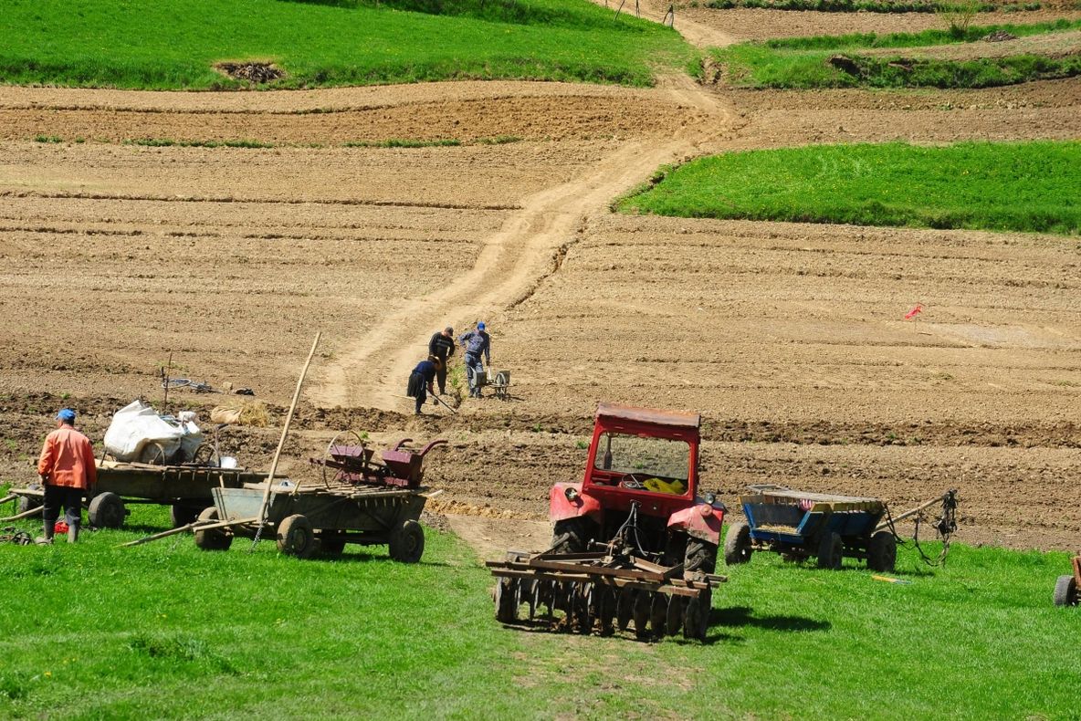 LEGEA TERENURILOR AGRICOLE intră în vigoare de mâine. Cum poţi VINDE sau cumpăra un teren
